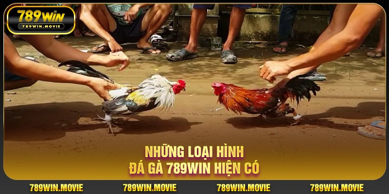 Những loại hình đá gà 789WIN hiện có